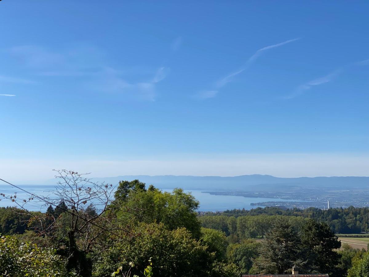 Petite Maison A L'Oree Des Bois Vue Magnifique Sur Le Lac Zenitude Et Plenitude Belmont-sur-Lausanne Kültér fotó