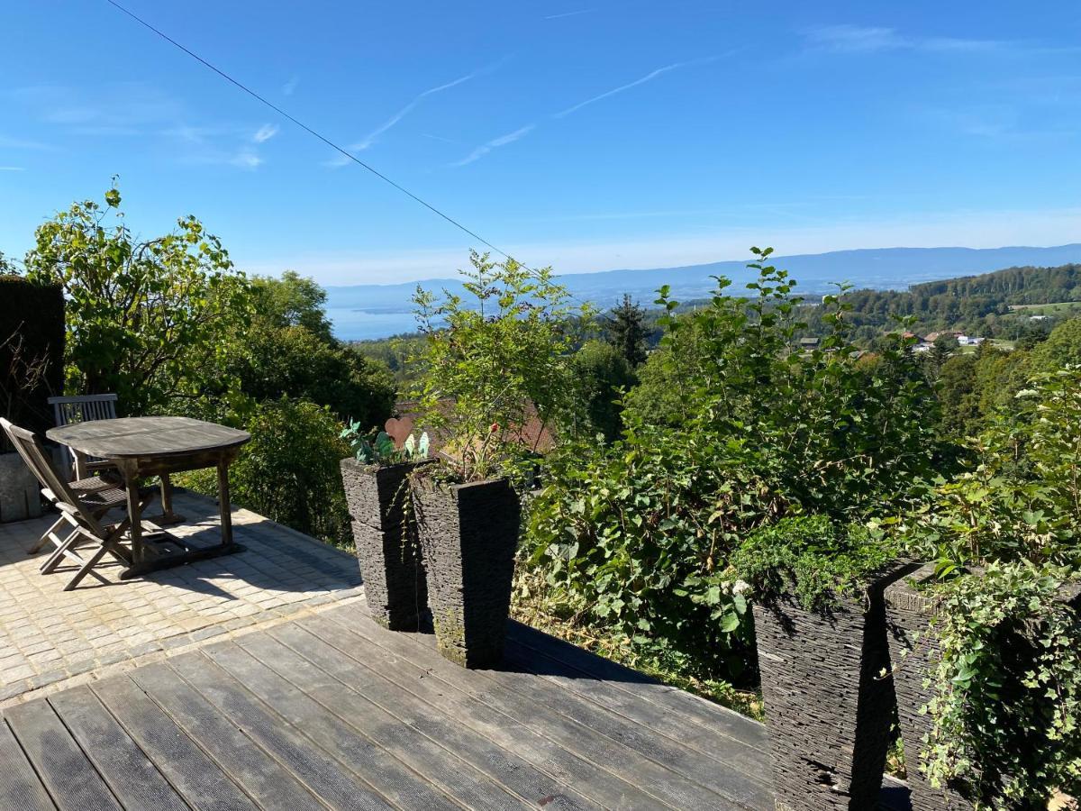 Petite Maison A L'Oree Des Bois Vue Magnifique Sur Le Lac Zenitude Et Plenitude Belmont-sur-Lausanne Kültér fotó