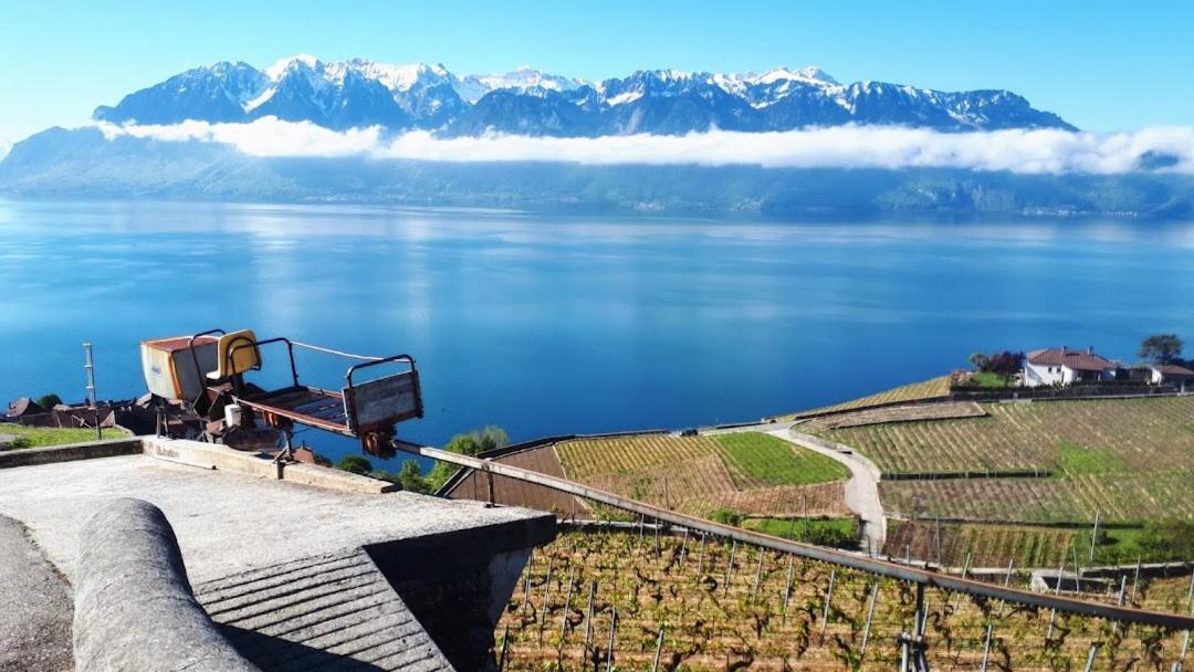 Petite Maison A L'Oree Des Bois Vue Magnifique Sur Le Lac Zenitude Et Plenitude Belmont-sur-Lausanne Kültér fotó